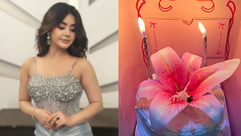 অ্যানিভার্সারি লুকে চমকে দিলেন তাহসান পত্মী রোজা